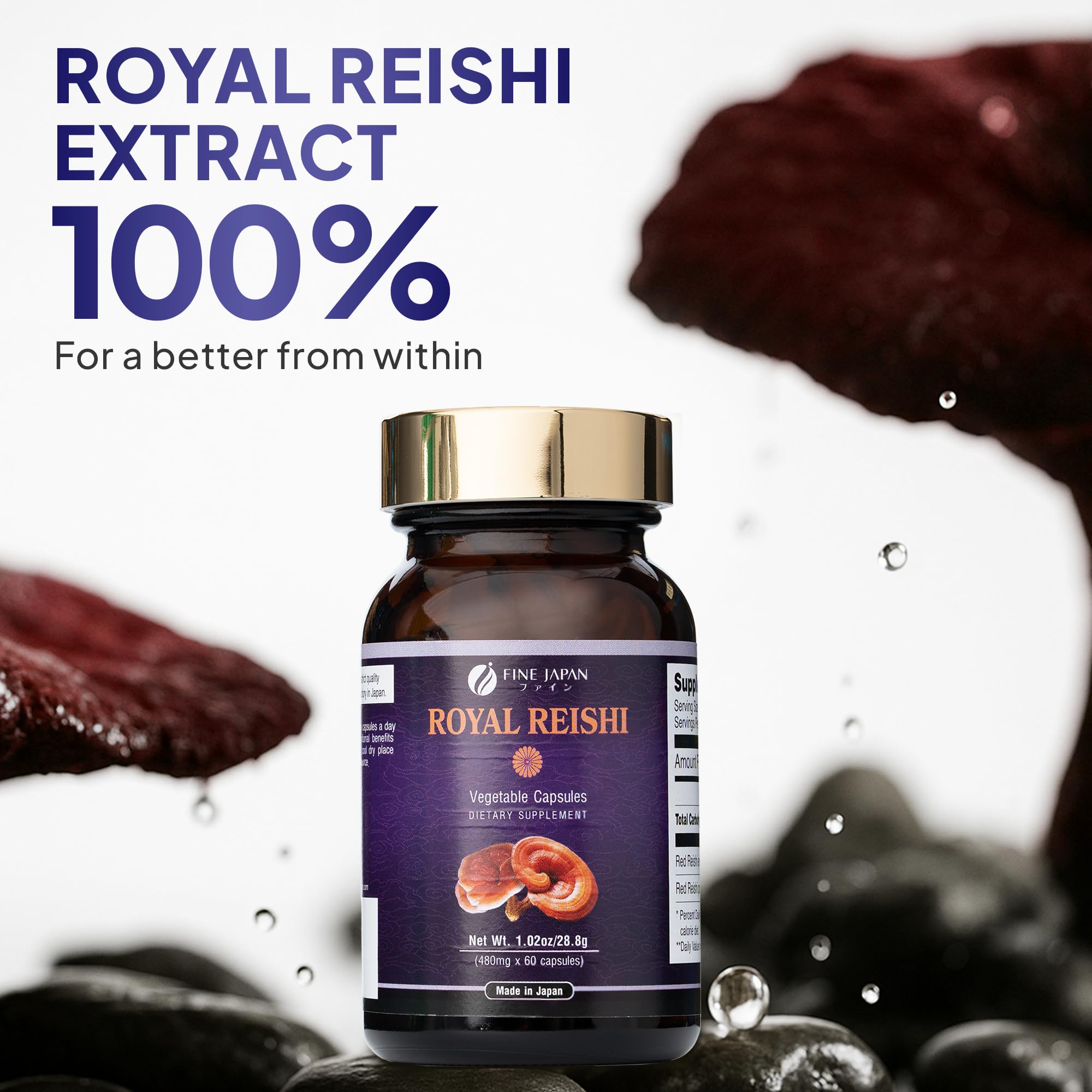 Digestive health concept with Reishi capsules
