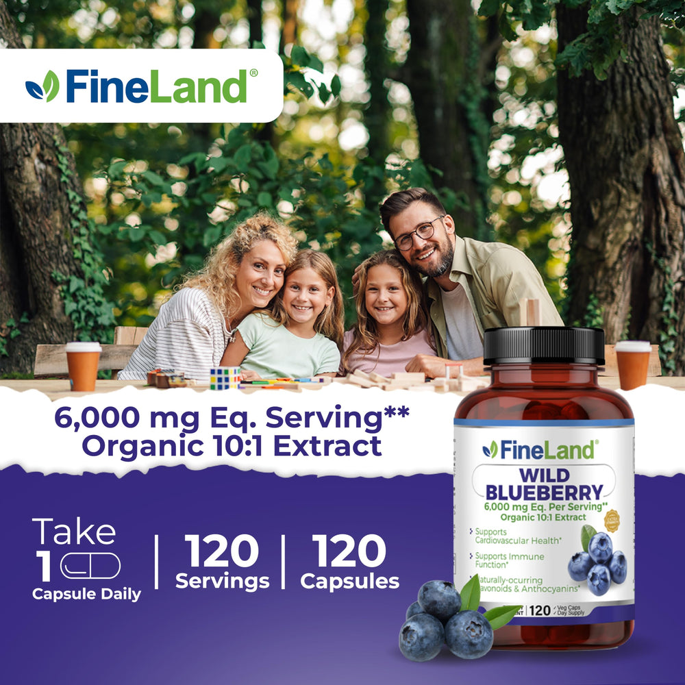 Brain health and cognitive support with wild blueberry extract