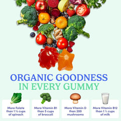 Vegan symbol on First Day Kids Multivitamin Gummies packaging
