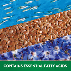 Illustration of fish oil, flaxseed oil, and borage oil ingredients