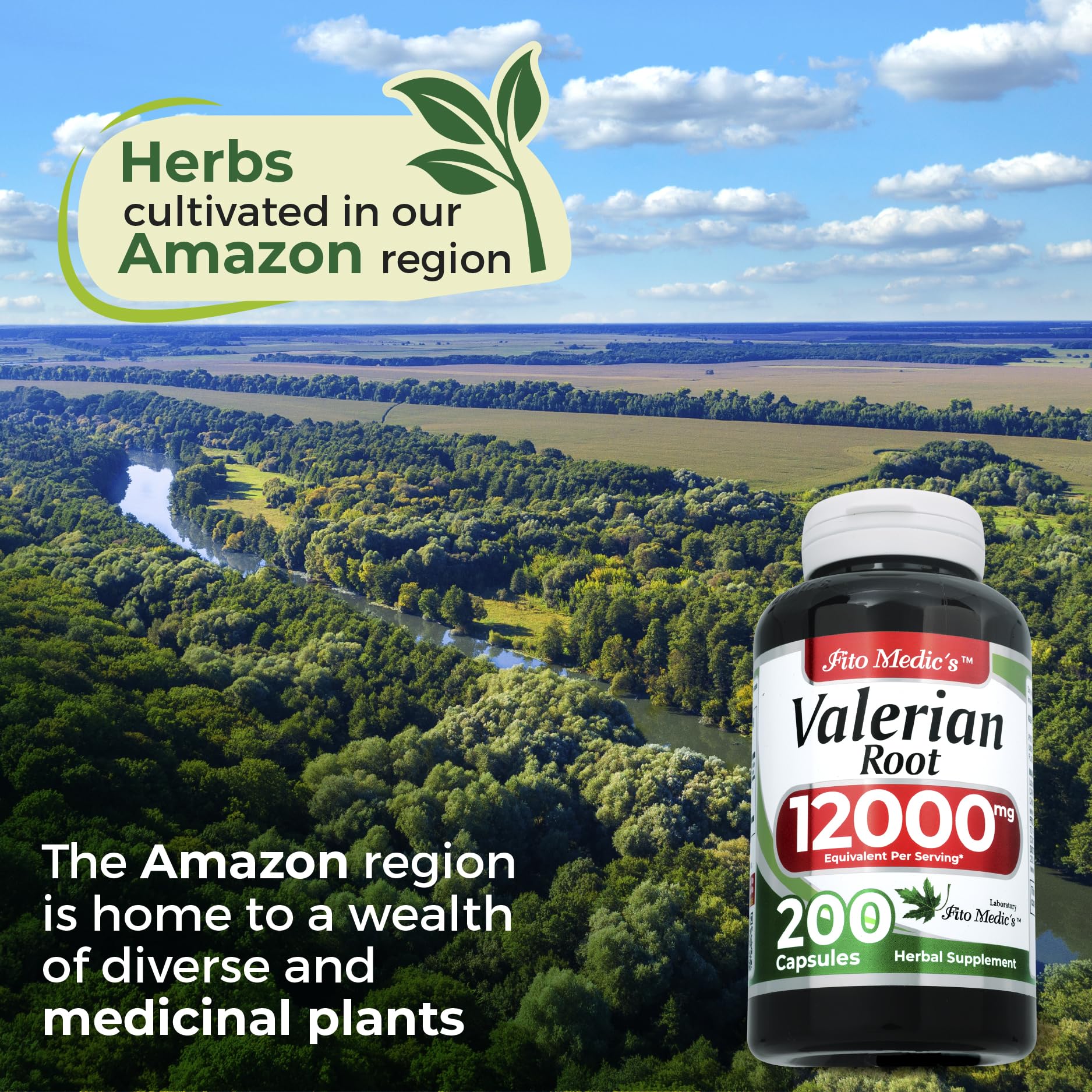Pack of two bottles of Valerian Root Capsules