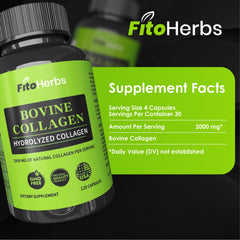 Joint and bone health concept with collagen molecules