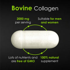 Skin elasticity and beauty benefits of collagen