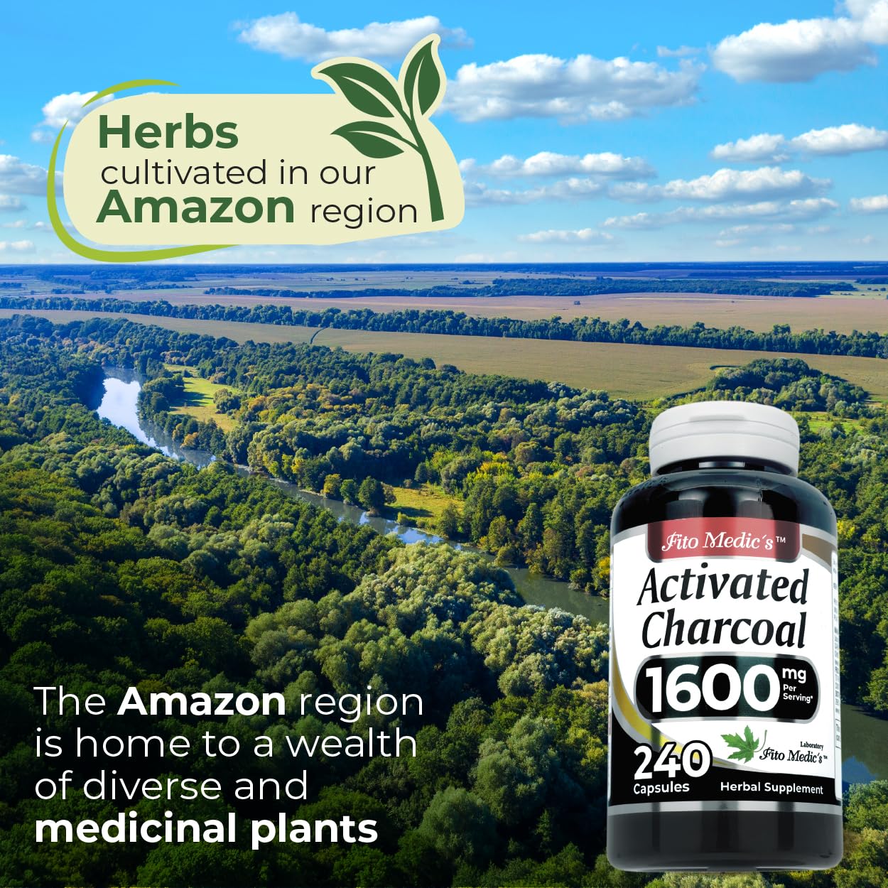 Close-up of activated charcoal capsules