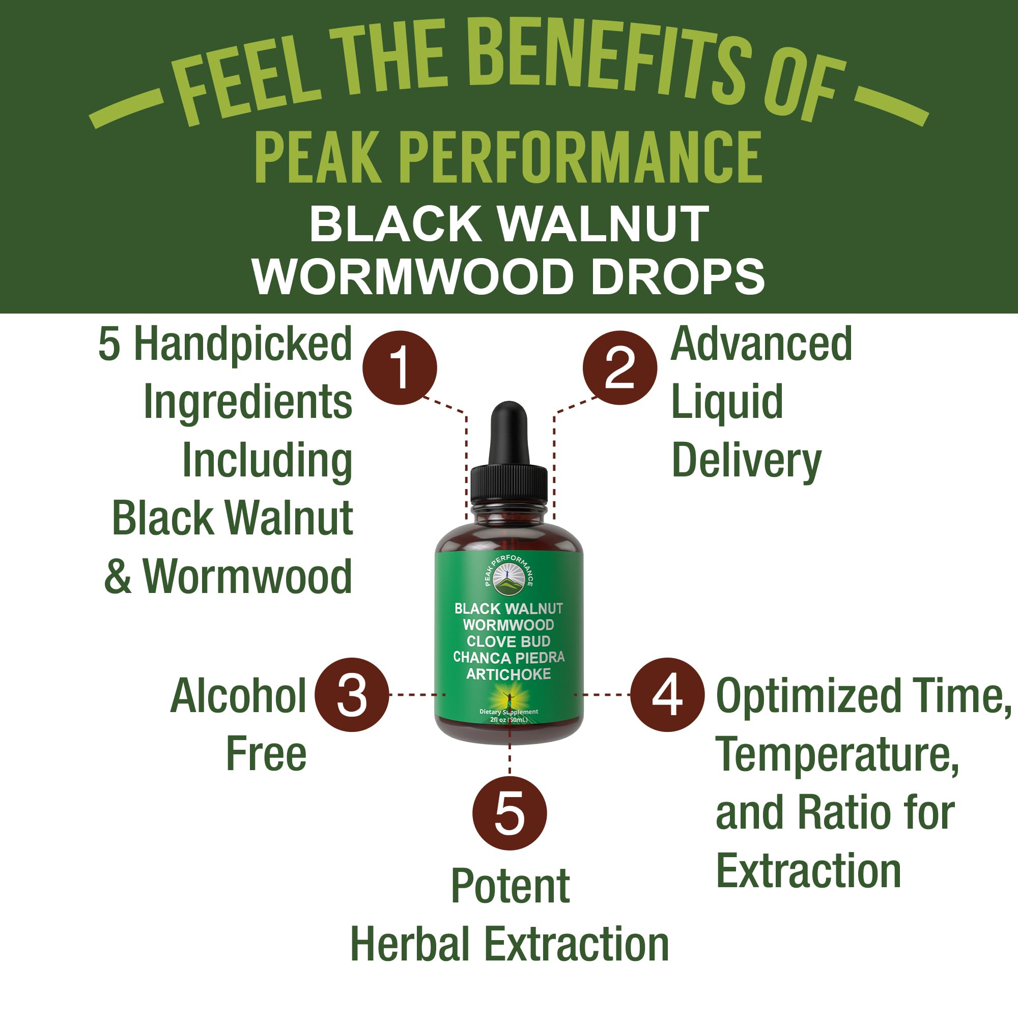 Visual of five cleansing ingredients: Black Walnut Hull, Wormwood, Clove, Artichoke, Chanca Piedra
