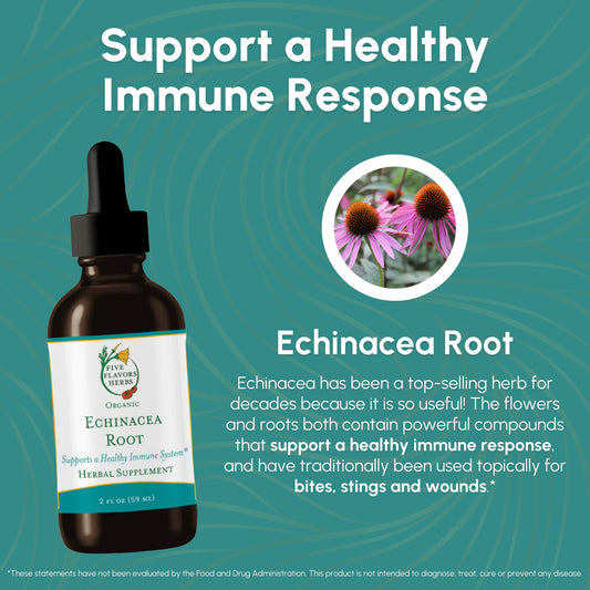 Amber glass bottle containing Echinacea Root Tincture