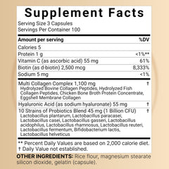 Graphic showing five collagen types I, II, III, V, X and hyaluronic acid