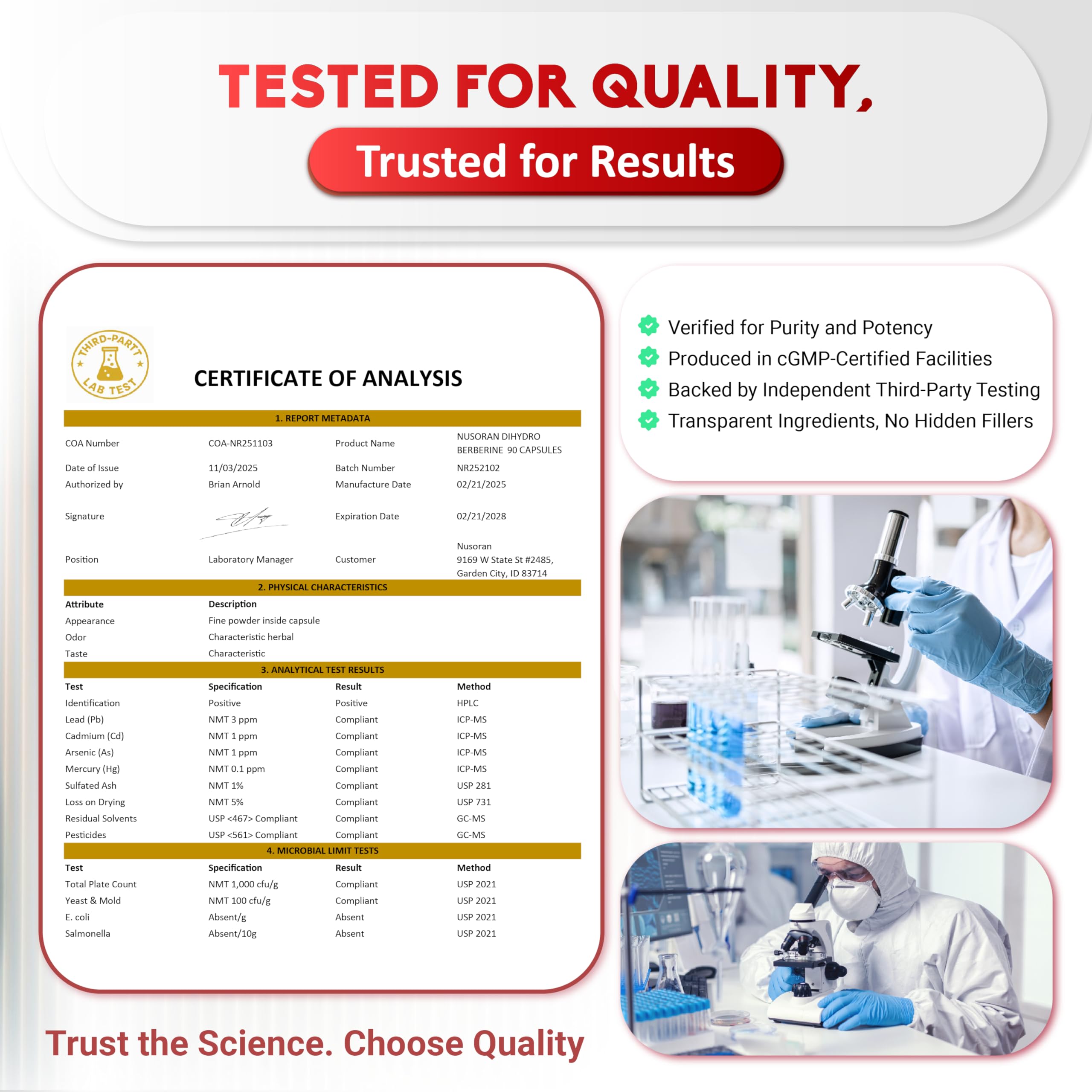 Graphic illustrating 5X absorption of dihydroberberine