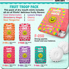 Assorted Flintts Mints Fruit Troop lozenges in a pack