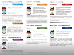 Illustration showing probiotic strains including Lactobacillus and Bifidobacterium