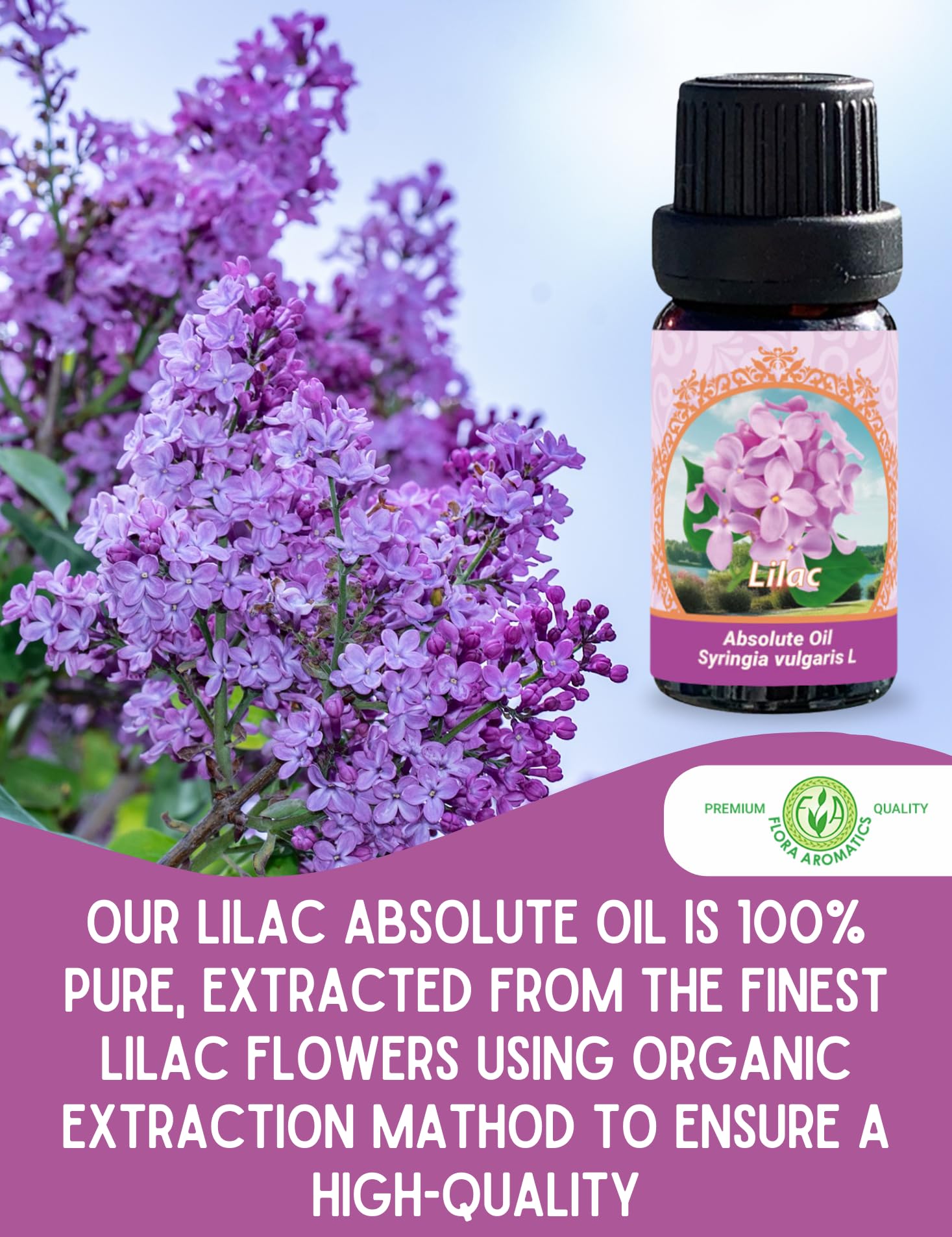 Flora Aromatics Lilac Absolute Oil origin Bulgaria signifies authentic sourcing
