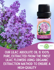 Flora Aromatics Lilac Absolute Oil origin Bulgaria signifies authentic sourcing
