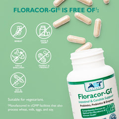 Lifestyle image representing gut health and digestion