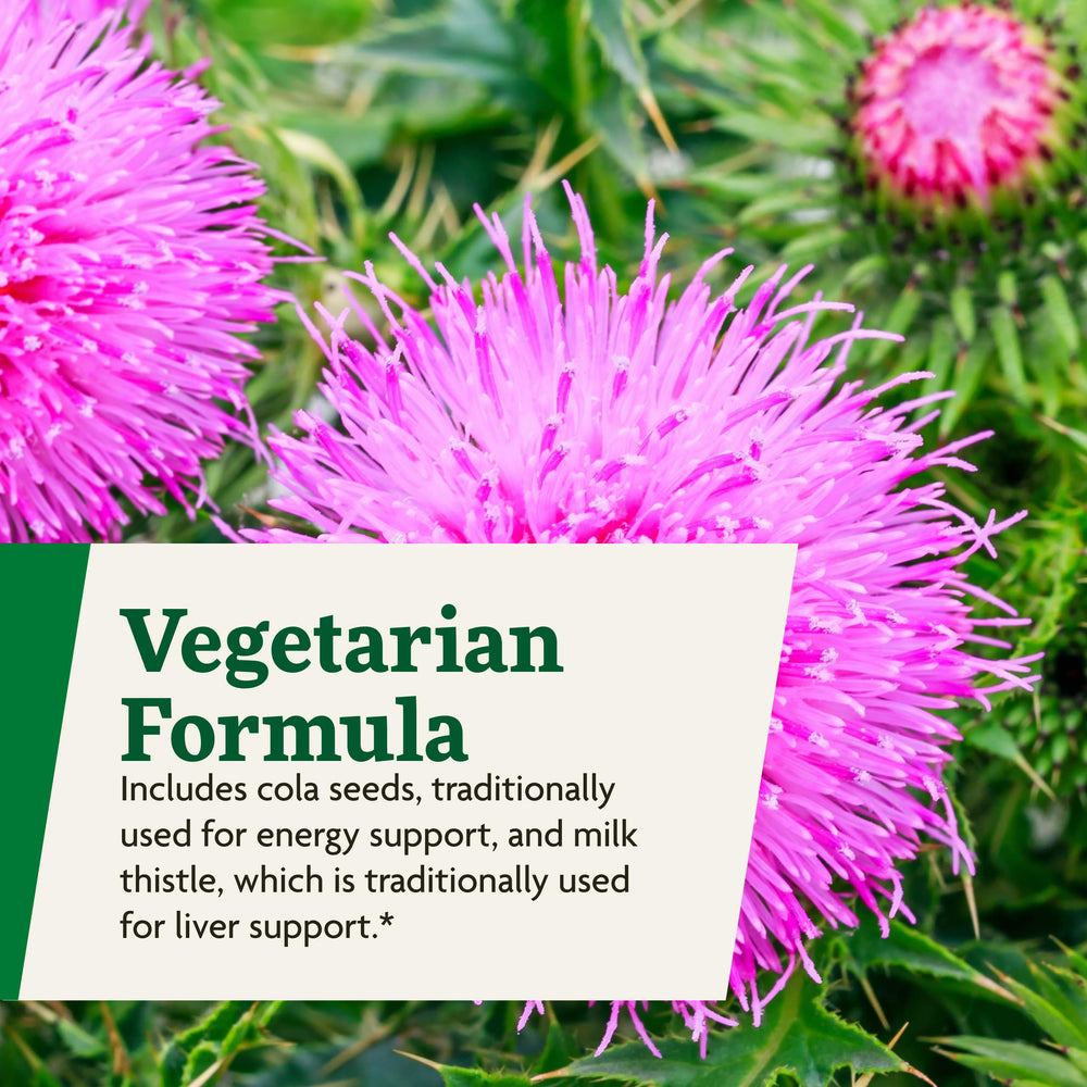 Icons indicating vegetarian, dairy-free, gluten-free, and soy-free