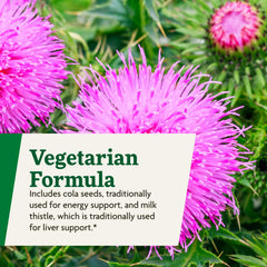 Icons indicating vegetarian, dairy-free, gluten-free, and soy-free