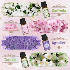 Jasmine essential oil bottle with white jasmine flowers