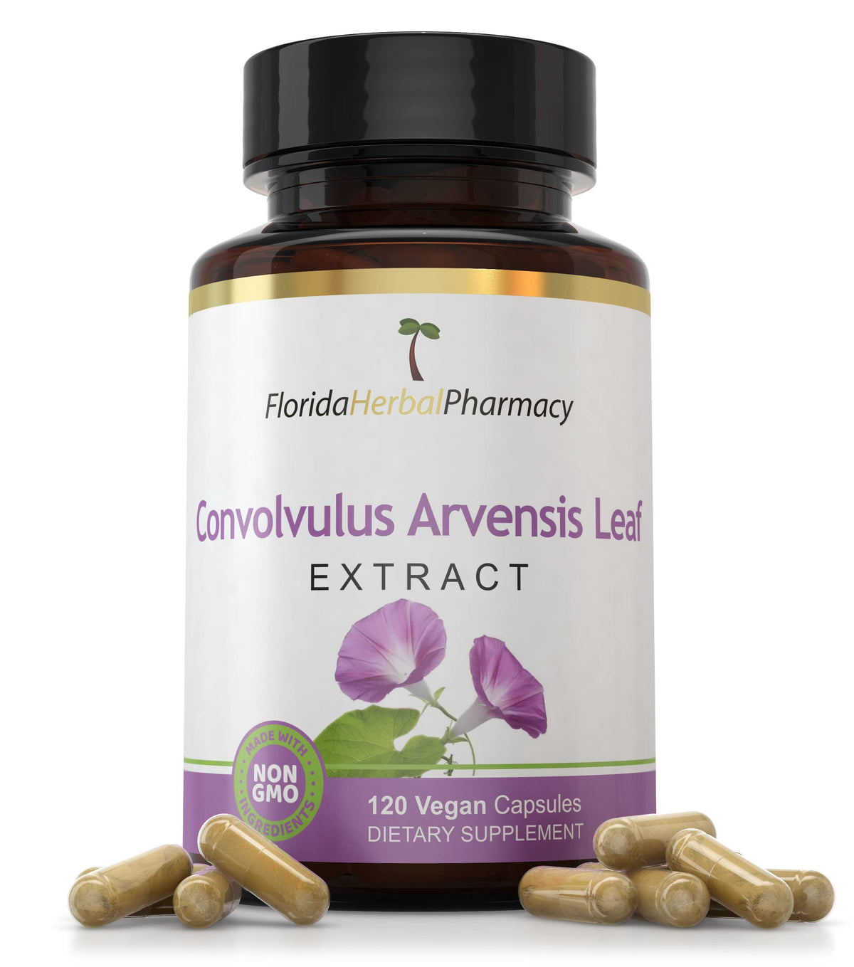 Convolvulus arvensis leaf extract capsules 10:1, 500 mg extract per capsule, 1000 mg serving – Florida Herbal Pharmacy