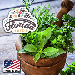 Florida Herbs Angelica tincture packaging and ingredient label