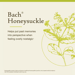 Illustration of natural flower remedies concept featuring Bach's 38 remedies.