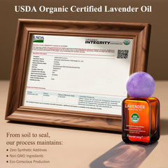 Gift-ready Lavender Essential Oil 30ml with branded packaging