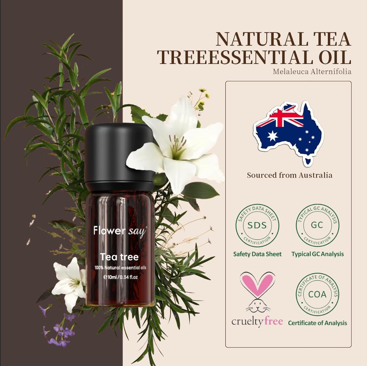 Australian Melaleuca alternifolia leaves used for distillation