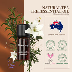 Diffuser emitting orange essential oil aroma