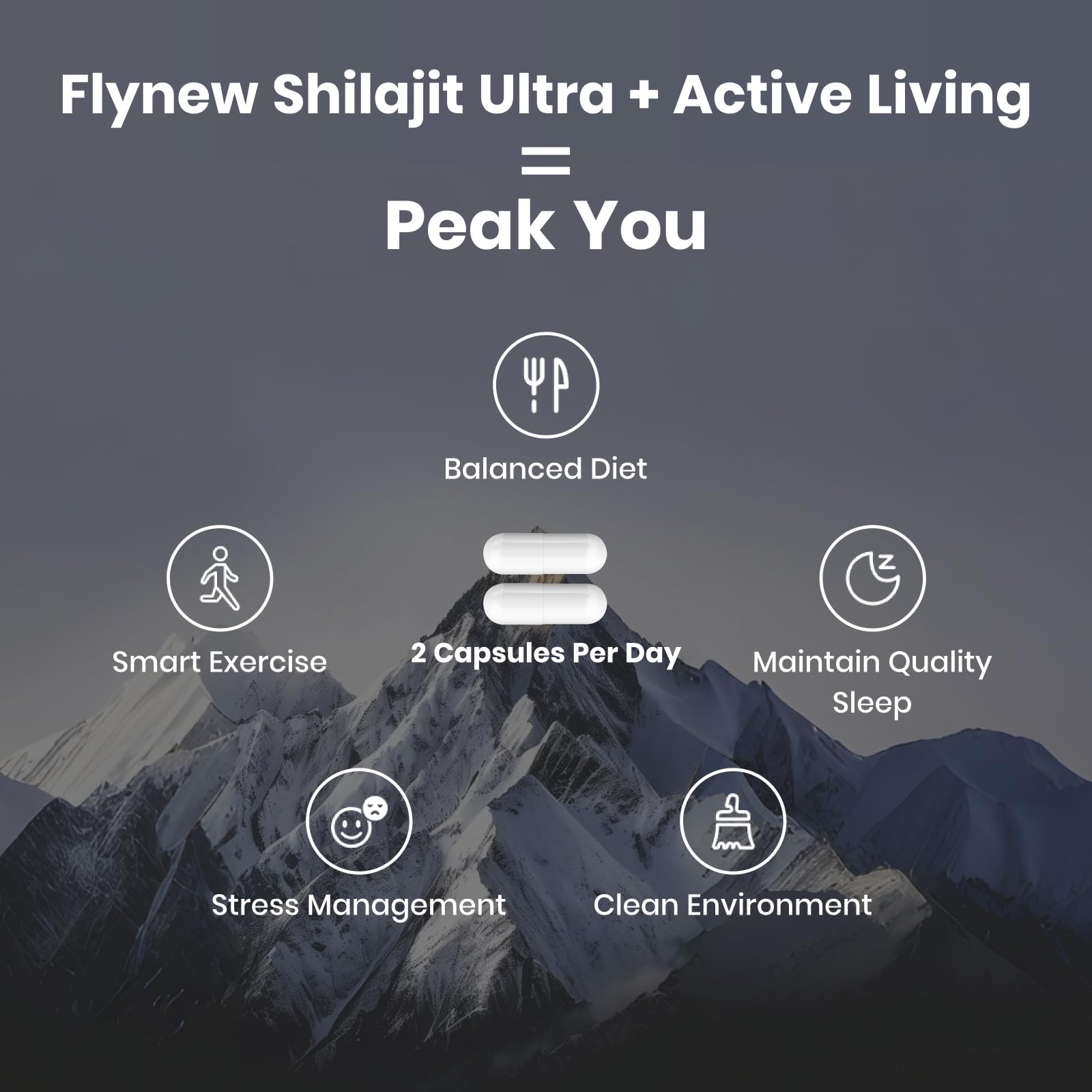 Shilajit with pomegranate extract