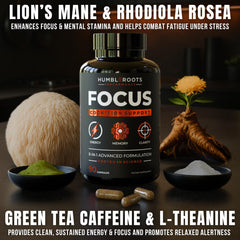 Capsules featuring Lion's Mane, Rhodiola and Cognizin ingredients
