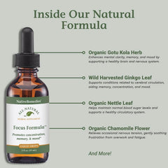 Ginkgo biloba leaves for Focus Formula