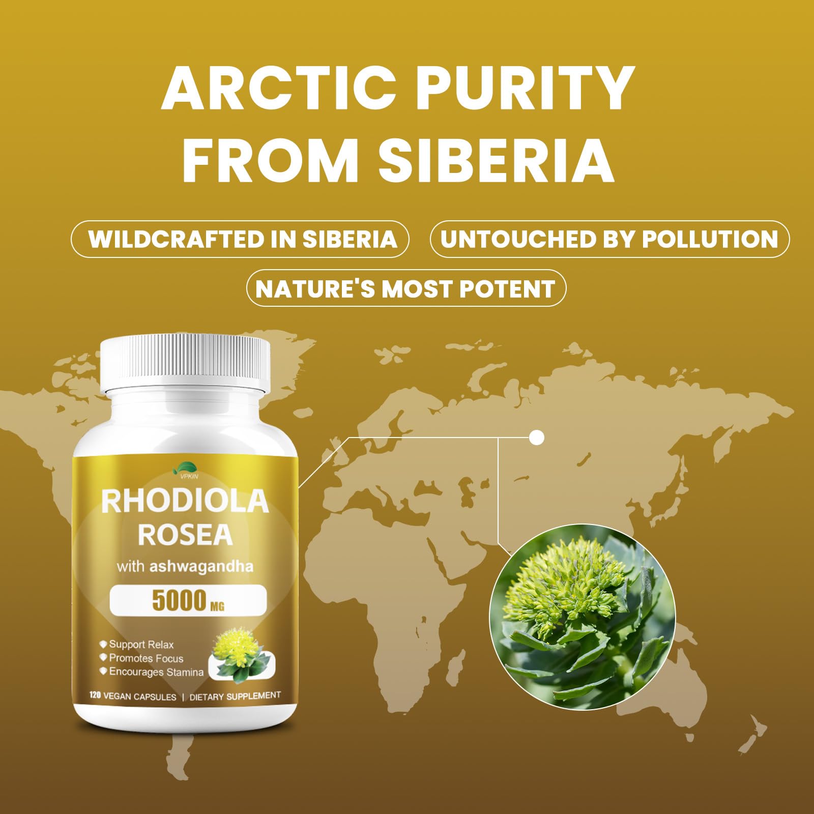 Illustration representing focus and relaxation concept