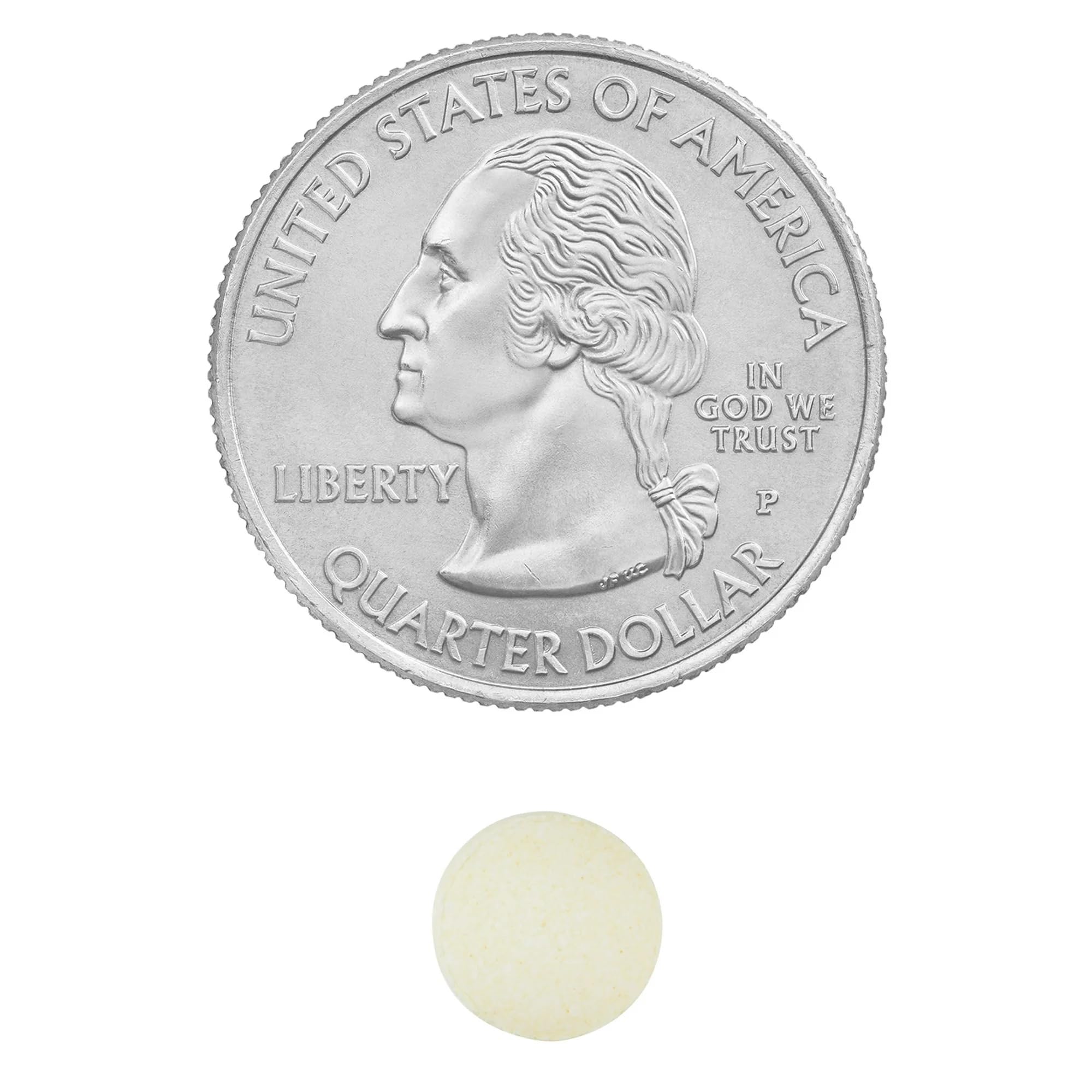 Folate supports energy metabolism and red blood cell formation