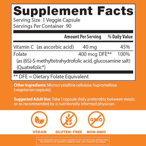 Folate supports DNA synthesis