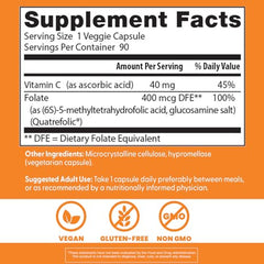 Folate supports DNA synthesis