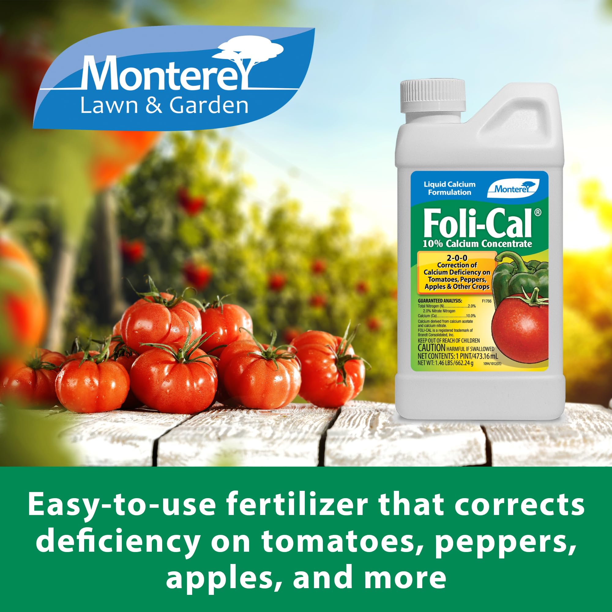 Measuring spoon included with Foli-Cal calcium product