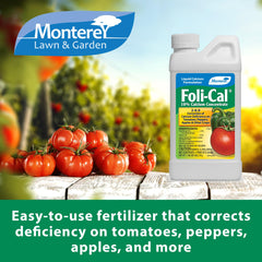 Measuring spoon included with Foli-Cal calcium product