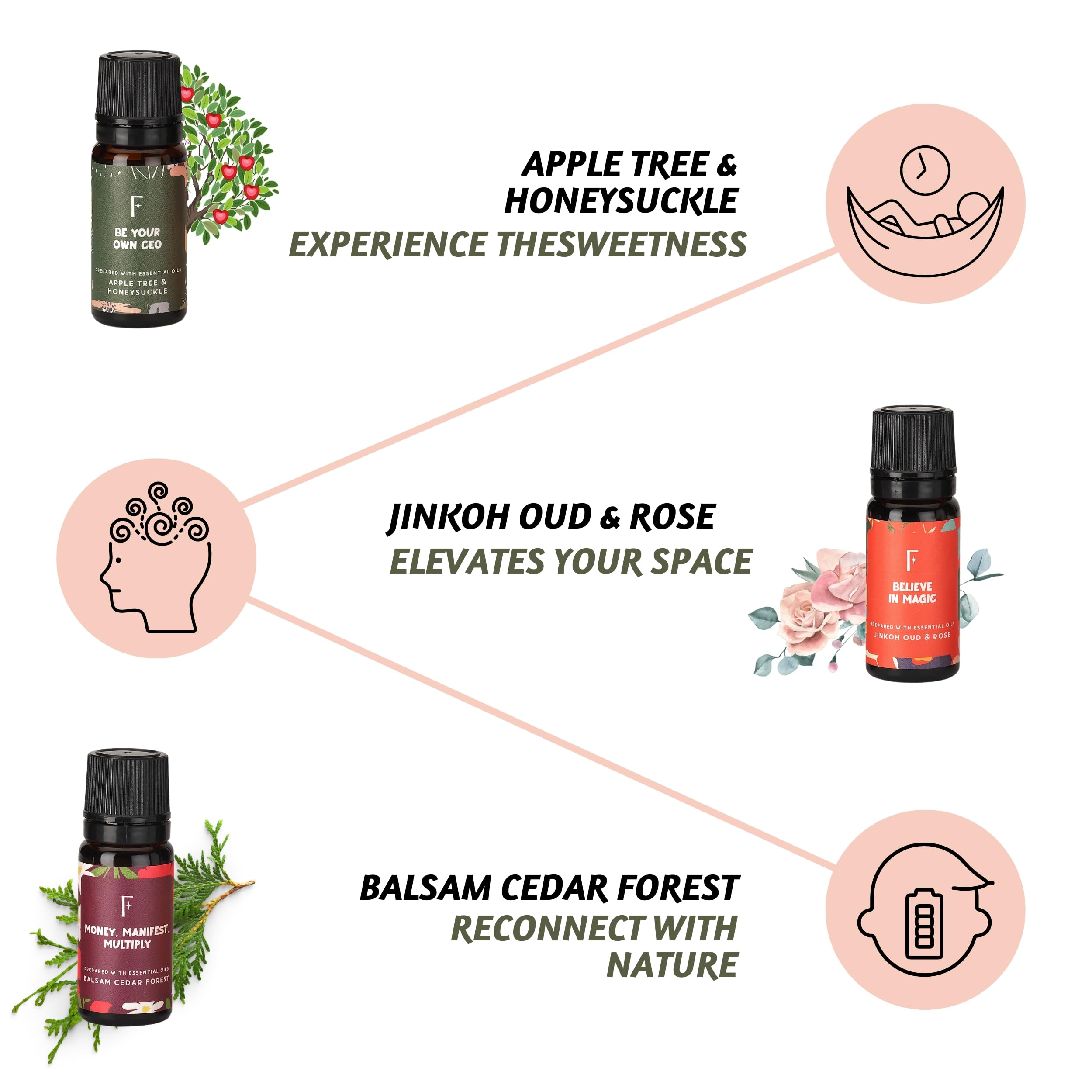 Balsam Cedar Forest essential oil bottle for diffusers