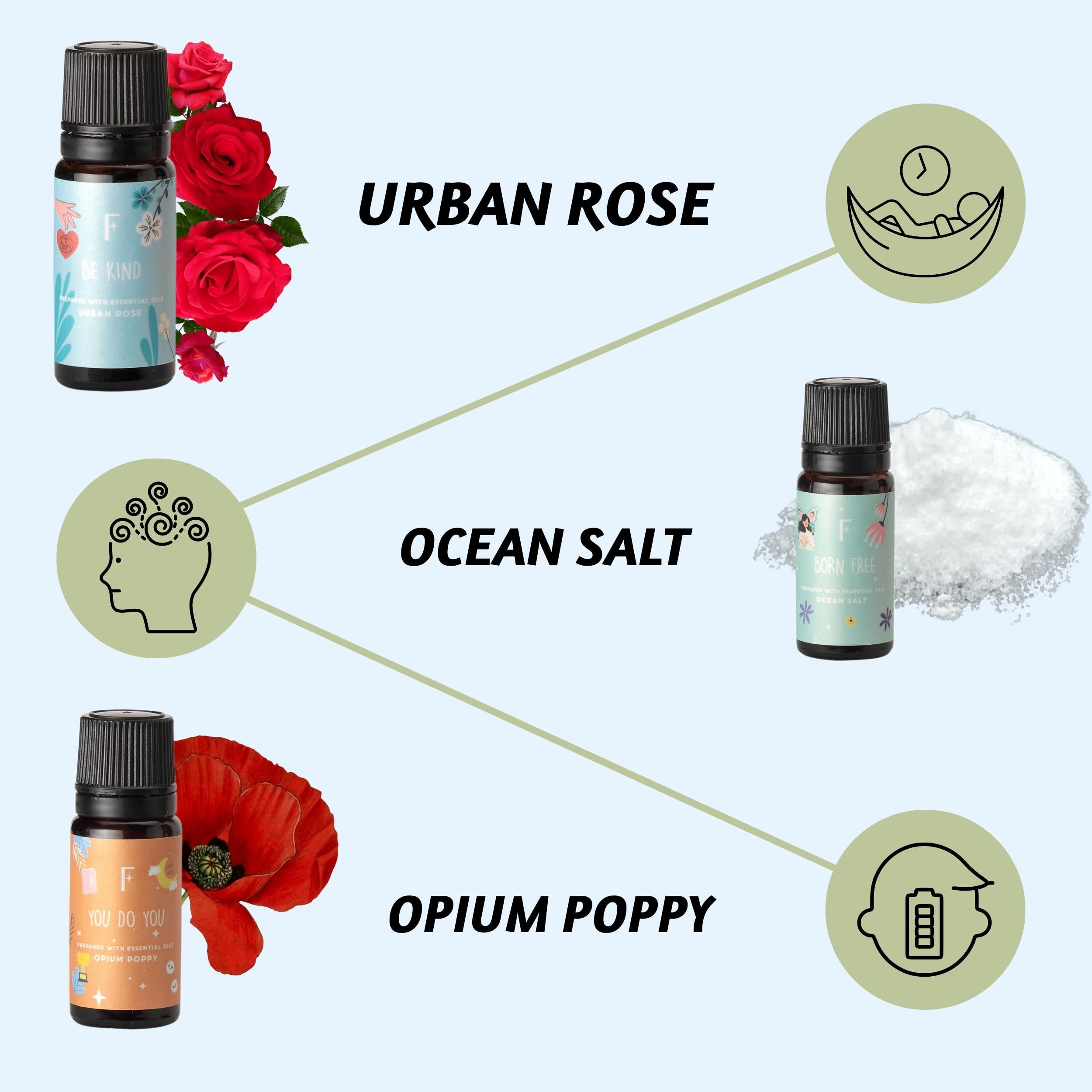 Ocean Salt fragrance oil bottle with six-pack set