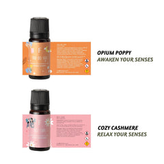 Folkulture diffuser oils set packaging with six bottles
