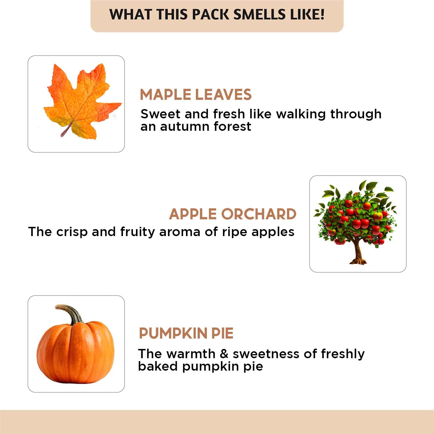 Pumpkin Pie essential oil for diffuser