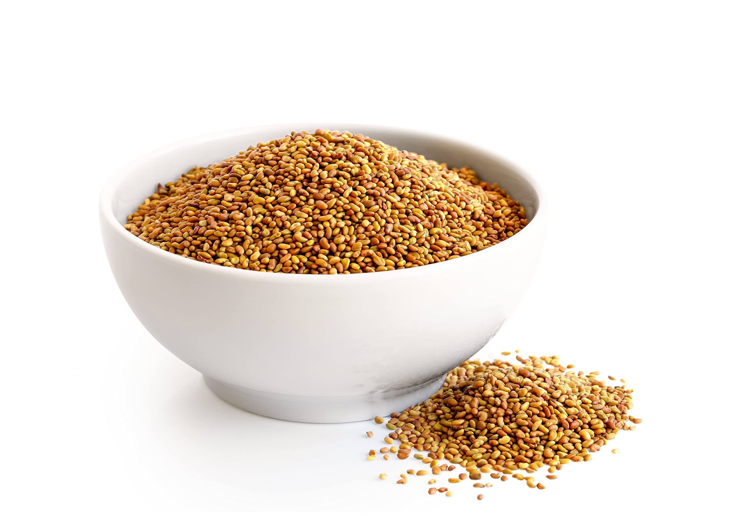Plant-based protein from alfalfa sprouts