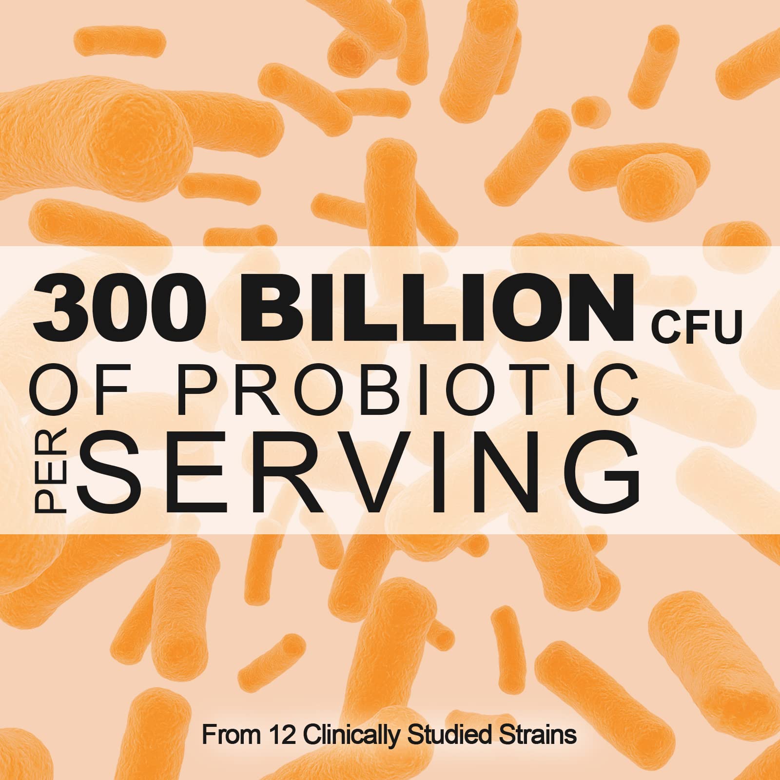 Probiotic supplement suitable for both women and men