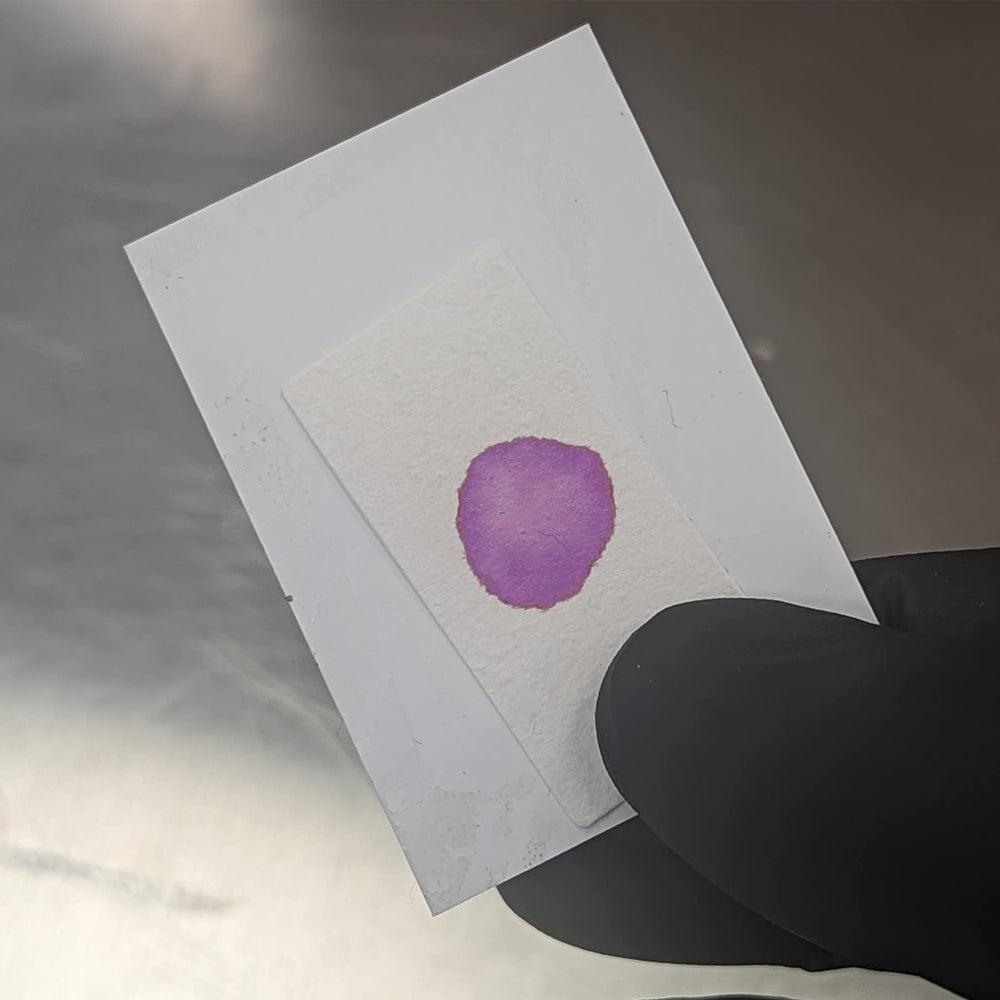 Forensic semen detection strip in use