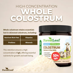 ForestLeaf Colostrum powder jar label shows premium grass-fed sourcing.