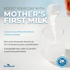 ForestLeaf Colostrum powder kitchen counter for everyday wellness routine.