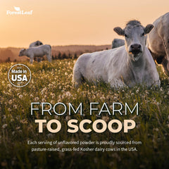Lab testing and purity indicators for ForestLeaf Colostrum