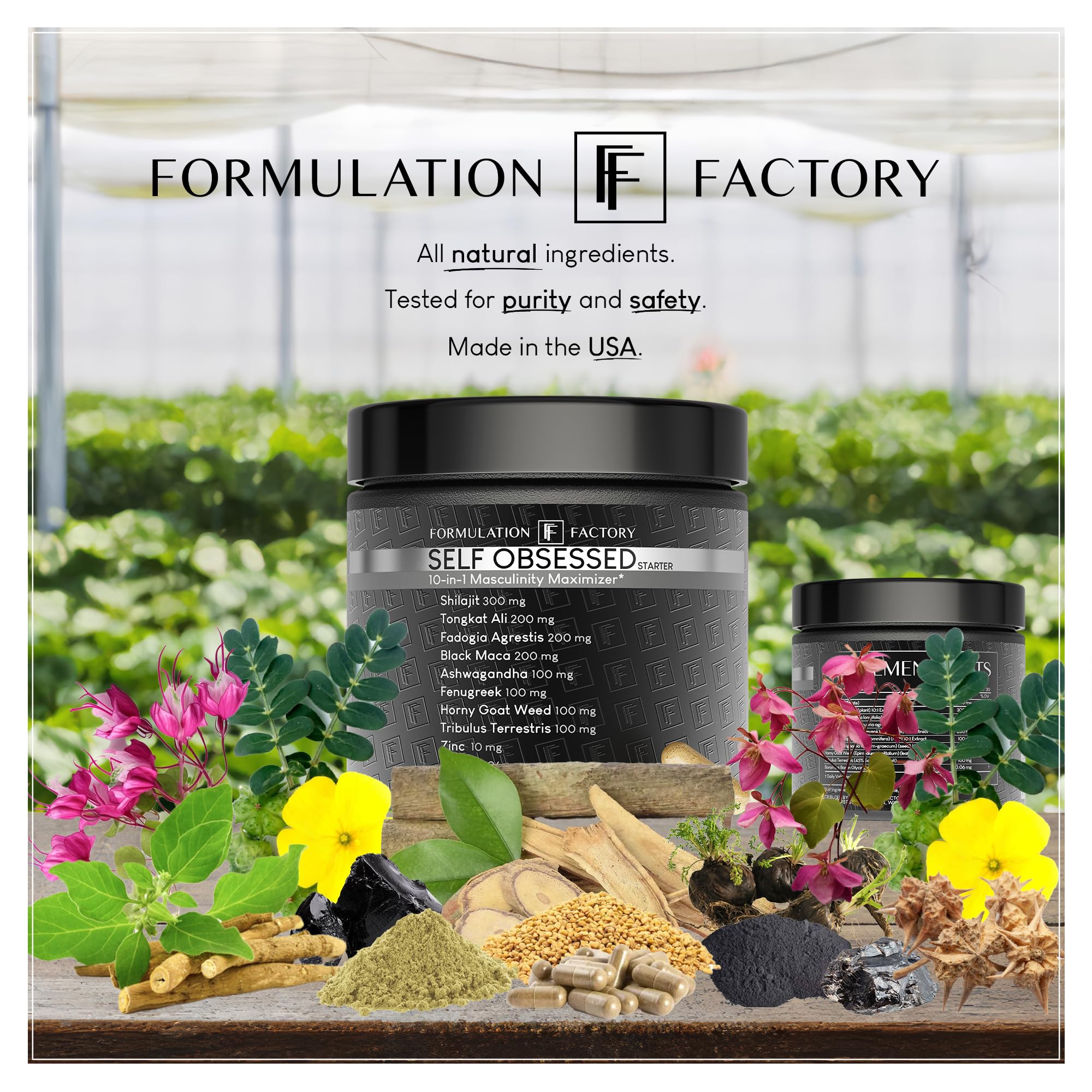 Formulation Factory Self Obsessed ingredients panel highlights key components for energy and drive