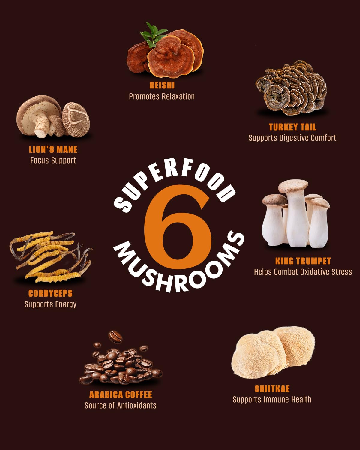 Graphic showing six functional mushrooms: Lion's Mane, Cordyceps, Reishi, Shiitake, Turkey Tail, King Trumpet