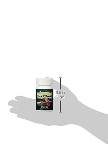 GMP-certified manufacturing facility for Plum Flower Teapills