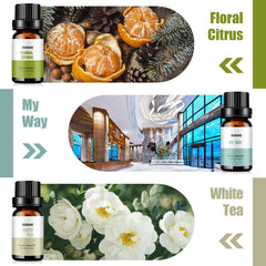 Lemon & Thyme fragrance oil for diffusers