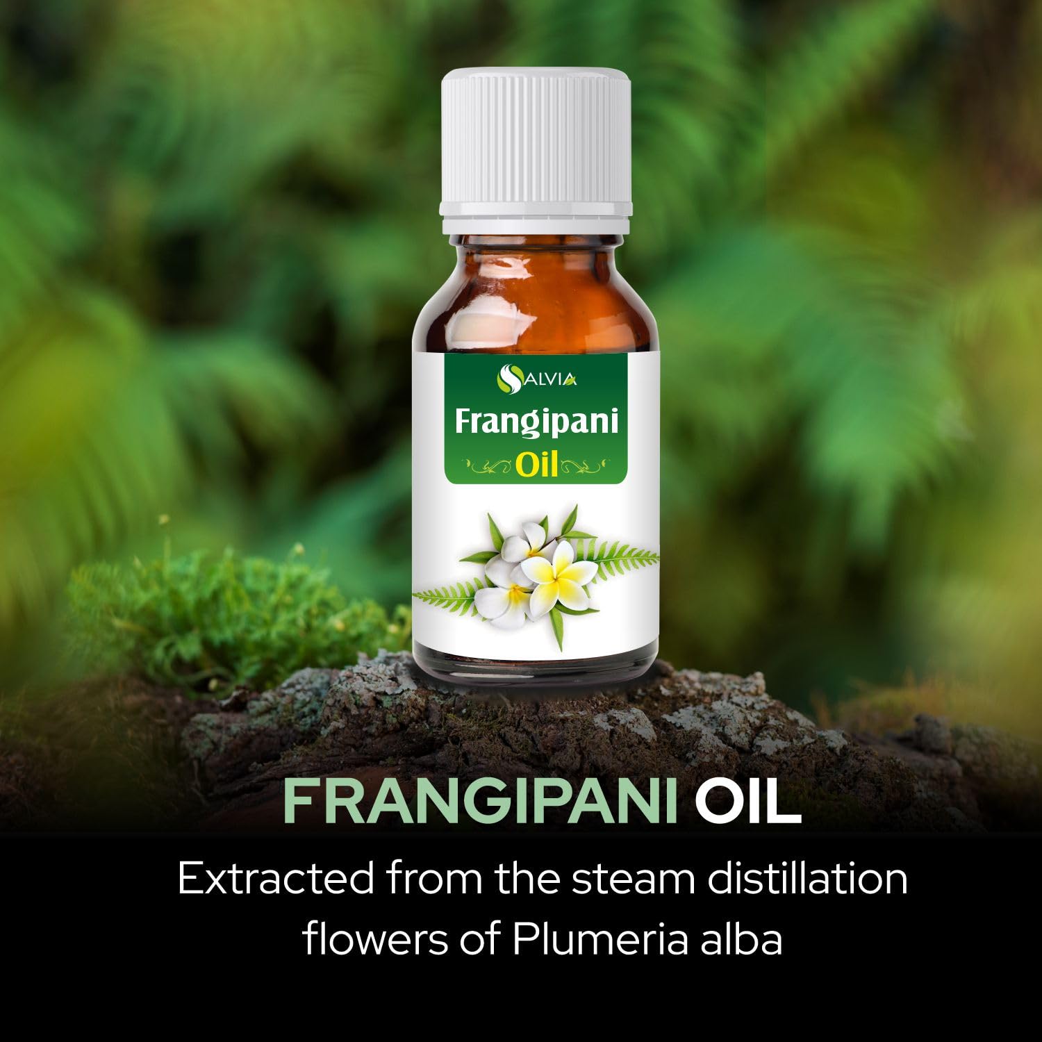 Frangipani essential oil used in aromatherapy and massage